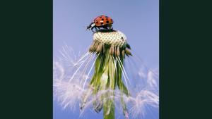 Aufwind2025 aktuell 09