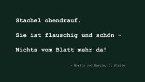 Aufwind2025 aktuell 16