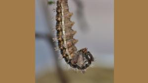 Aufwind2025 aktuell 19