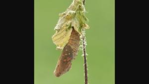 Aufwind2025 aktuell 23