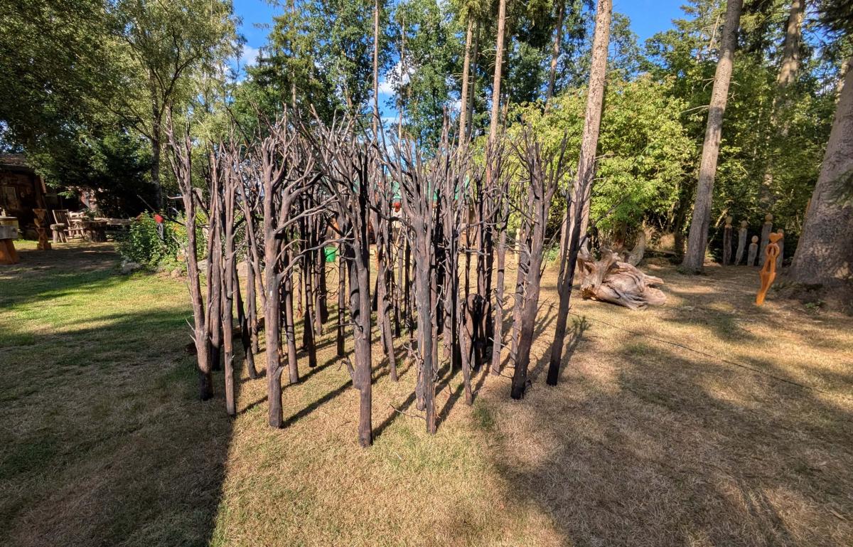 Slideshow Skulpturenpark Müssen 1