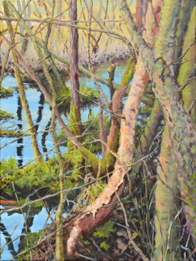 C Pet Stellmoor 60x80 Acryl Leinwand